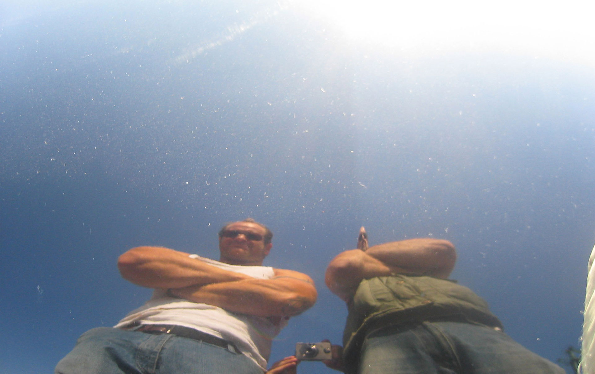 DIE DREI FRAGEZEICHEN UND DER IRRE, DEN SIE GEHIRN NANNTEN