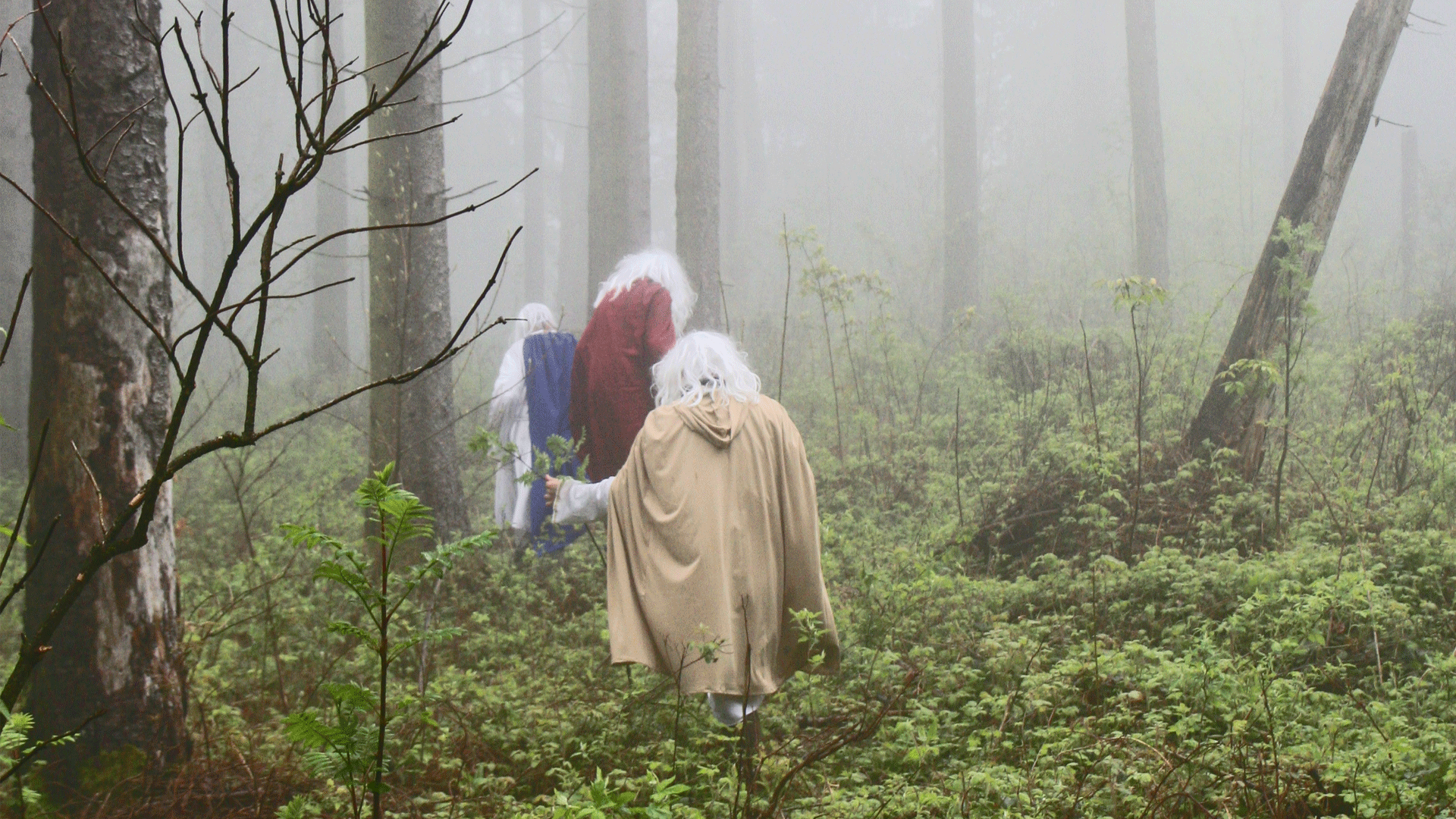 IM BANNE DES BELENUS